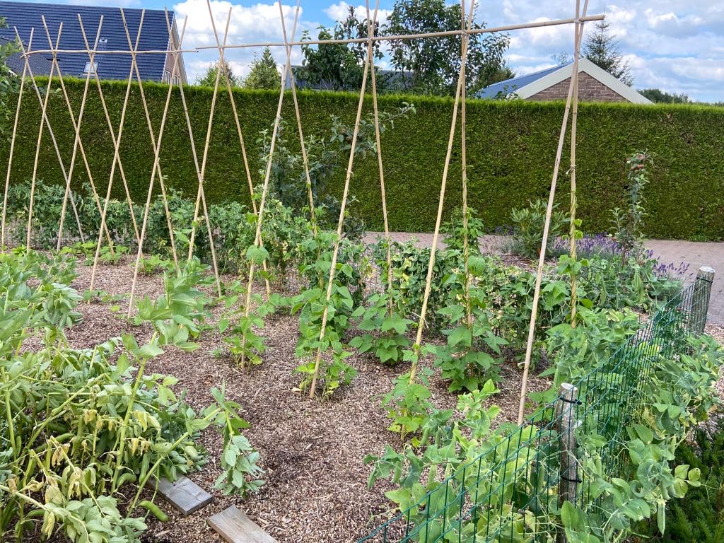 46069469 b1f2 4873 a6c9 a63b20230765 1