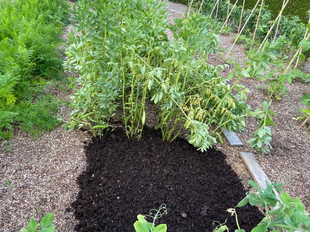 5fe4cf28 ac35 443c bd02 897507c873ba 1